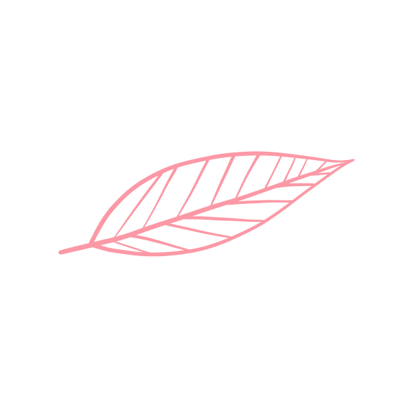 illustration feuilles 04