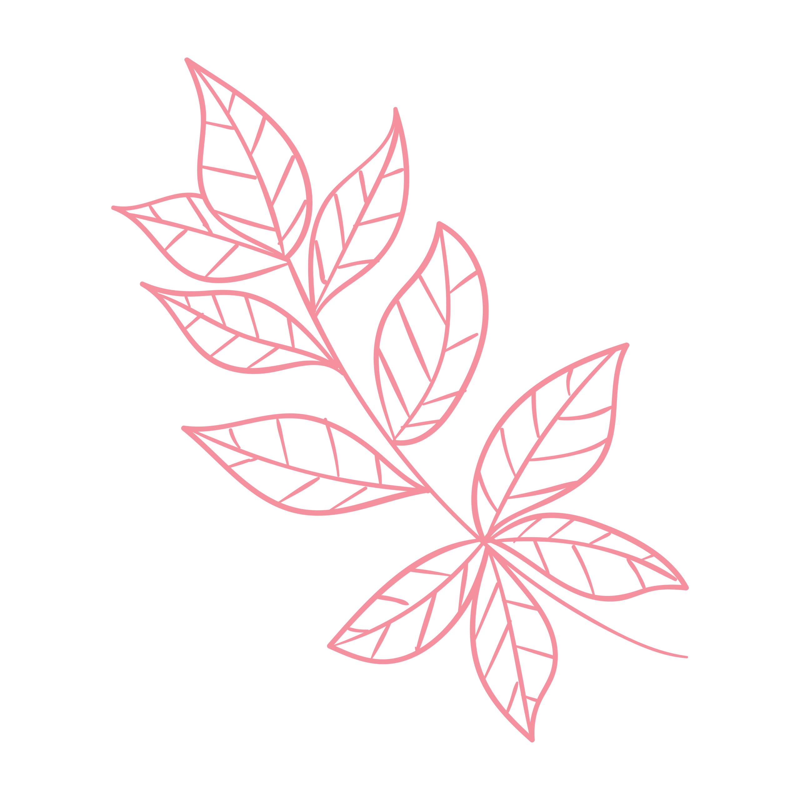 Illustration feuille 06