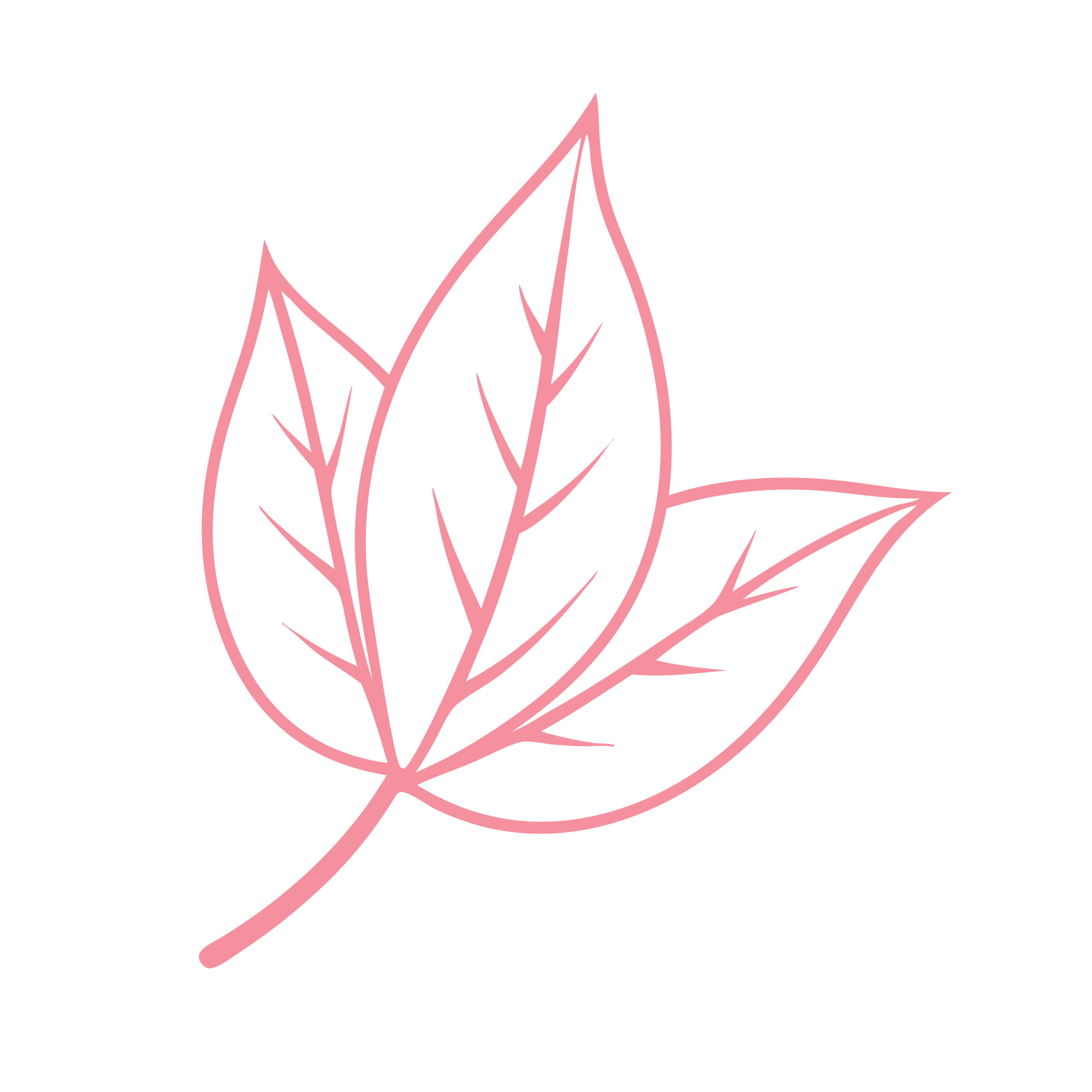 Illustration feuille 07