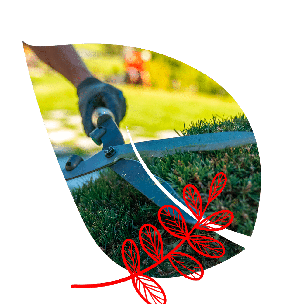 mondou travaux paysagers